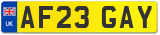 AF23 GAY