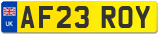 AF23 ROY