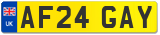 AF24 GAY