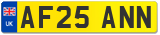 AF25 ANN