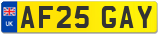 AF25 GAY