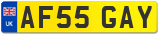 AF55 GAY