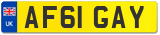 AF61 GAY