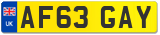 AF63 GAY