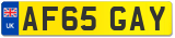 AF65 GAY