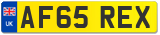 AF65 REX