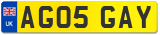 AG05 GAY
