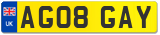 AG08 GAY