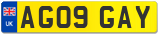 AG09 GAY