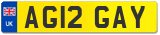 AG12 GAY