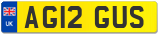 AG12 GUS