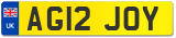 AG12 JOY