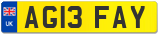 AG13 FAY