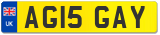 AG15 GAY