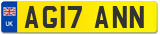 AG17 ANN