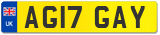 AG17 GAY