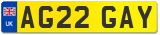 AG22 GAY