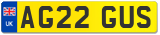 AG22 GUS