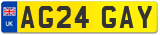 AG24 GAY