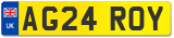 AG24 ROY