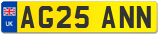 AG25 ANN