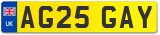 AG25 GAY