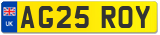 AG25 ROY