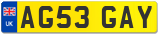 AG53 GAY