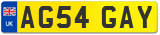 AG54 GAY