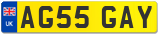 AG55 GAY