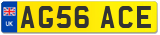 AG56 ACE