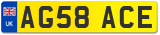 AG58 ACE