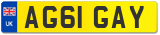 AG61 GAY