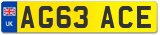 AG63 ACE