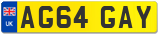 AG64 GAY