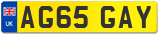 AG65 GAY