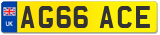 AG66 ACE