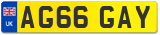 AG66 GAY