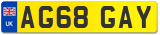 AG68 GAY