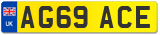 AG69 ACE