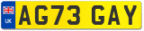 AG73 GAY