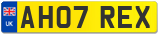 AH07 REX