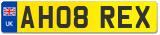 AH08 REX