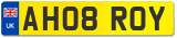 AH08 ROY