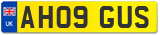 AH09 GUS