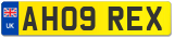 AH09 REX