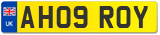 AH09 ROY