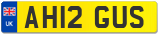 AH12 GUS