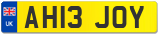 AH13 JOY