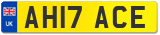 AH17 ACE